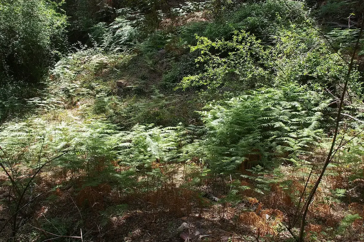 Barranco del Roig, en la Serra d'Espadà